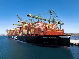 MSC Strengthens Iroko Service with New Direct Cape Town Call