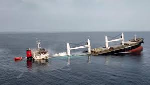 Report : Houthi attacks in Red Sea devastating for the environment