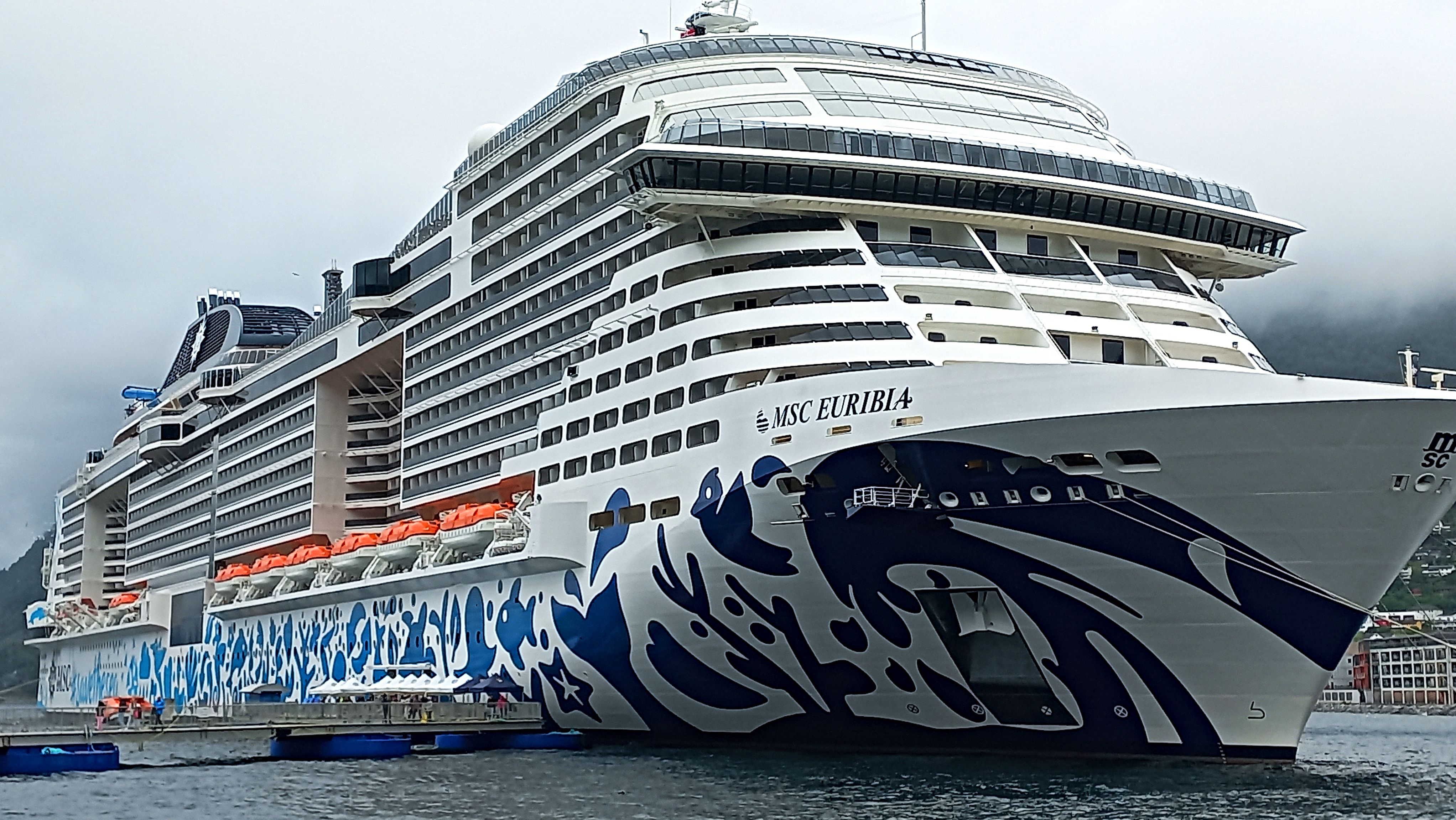 Vago: "Transfer seafarers stranded in the Persian Gulf to the MSC Euribia and other cruise ships."