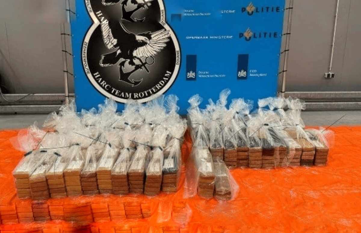 Port of Rotterdam Drug Busts Cocaine Discovered in One Week Maritime Tickers