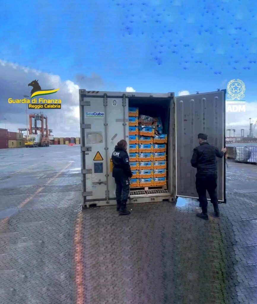 27 kg of cocaine seized in Gioia Tauro in a container of bananas Maritime Tickers