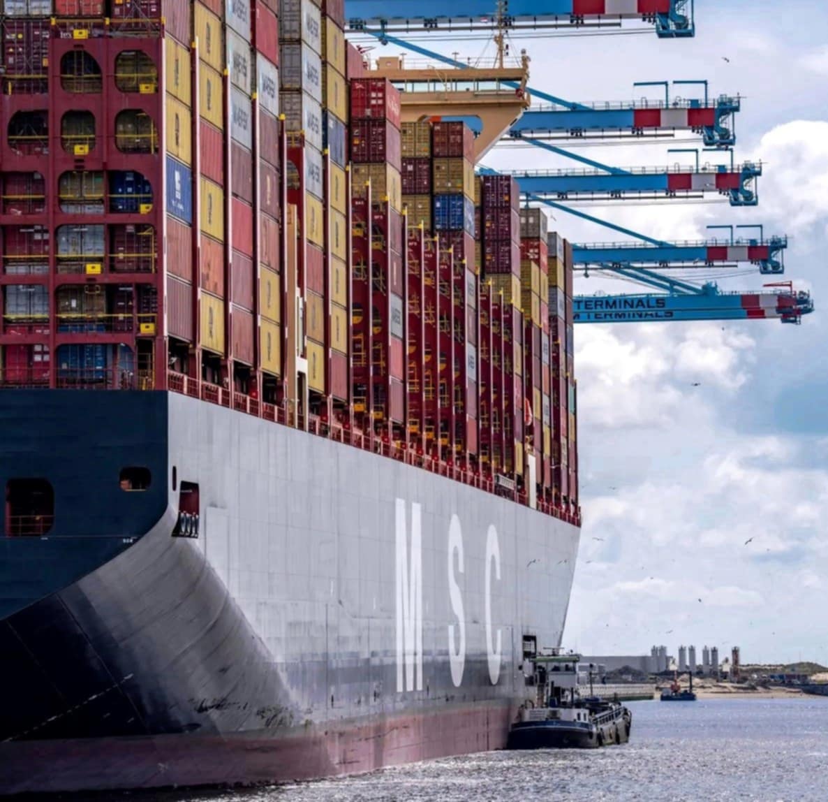 MSC to support ten African logistics startups Maritime Tickers.jpg